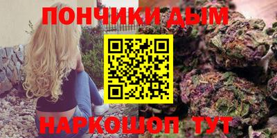 PSILOCYBIN Моздок