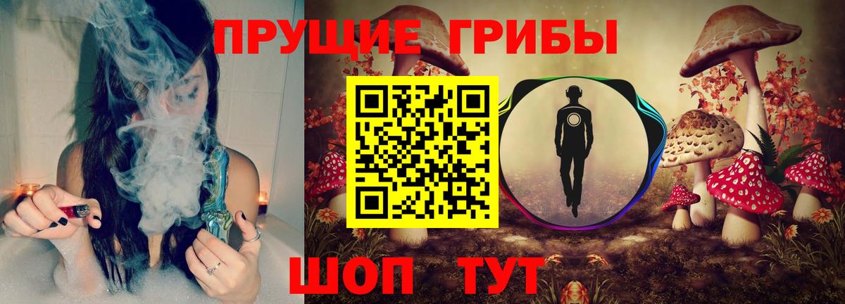 Галлюциногенные грибы Psilocybine cubensis Рыбинск